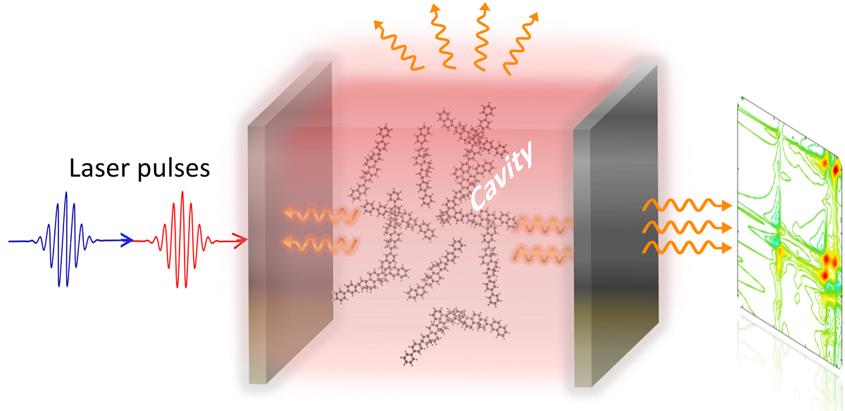 CityU Physicist Develops a Novel Quantum Theory of Light-Induced Matter, Opening the Door to Cutting-Edge Optical Technologies