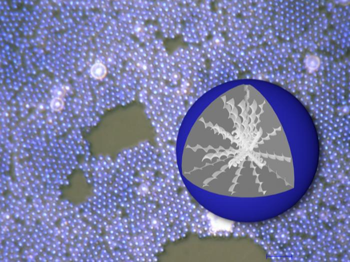 Novel Method for Developing CLCs into Micrometer-Sized Spherical Particles