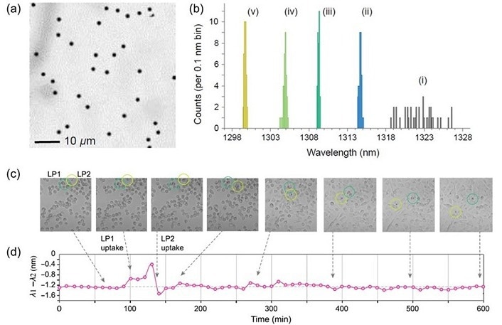 PEC Etching Method Revolutionizes Microdisk Laser Fabrication