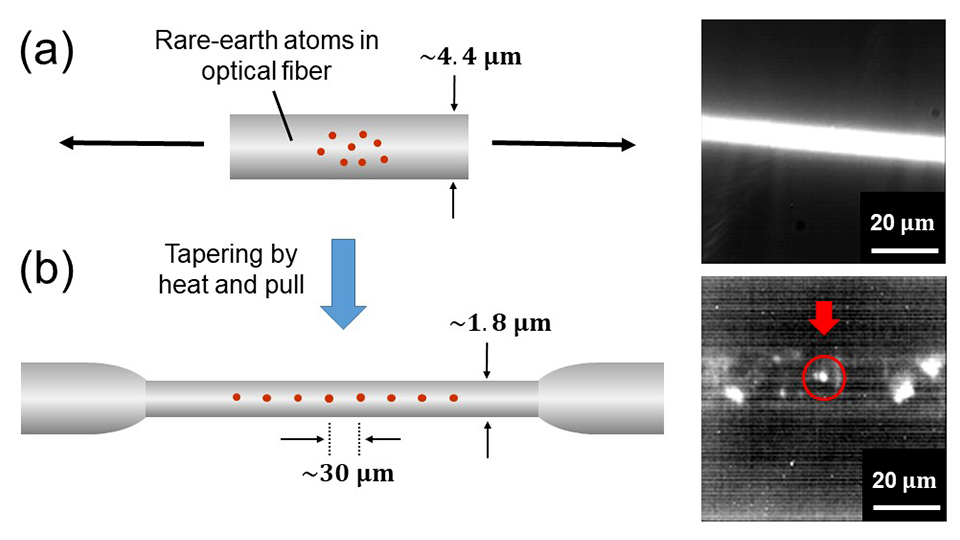 Unveiling Single-Photon Emission in Ytterbium-Doped Fiber