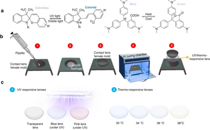 Encouraging Better Treatment Approaches: Multifunctional Transition and Temperature-Responsive Contact Lenses