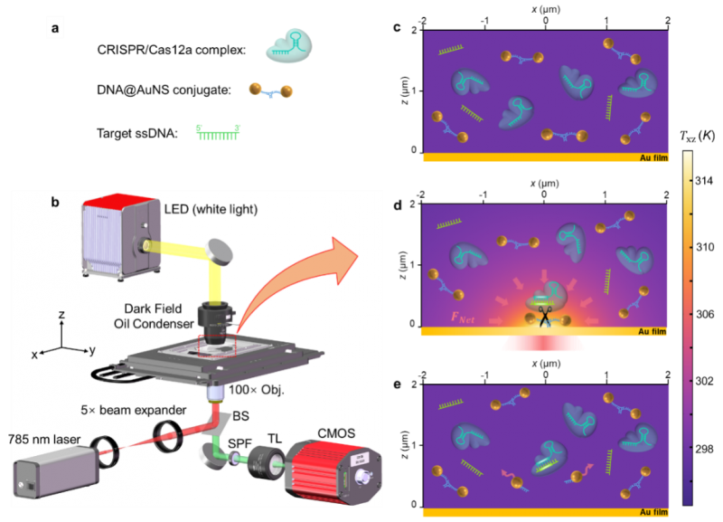 Heat-Powered Nanotweezers Detect Disease at Unprecedented Levels