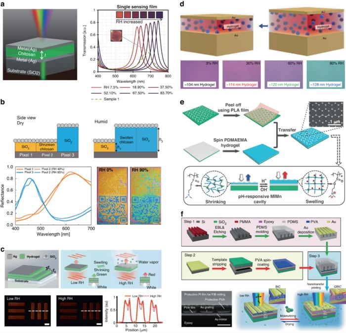Revolutionizing Photonics With Responsive Hydrogels