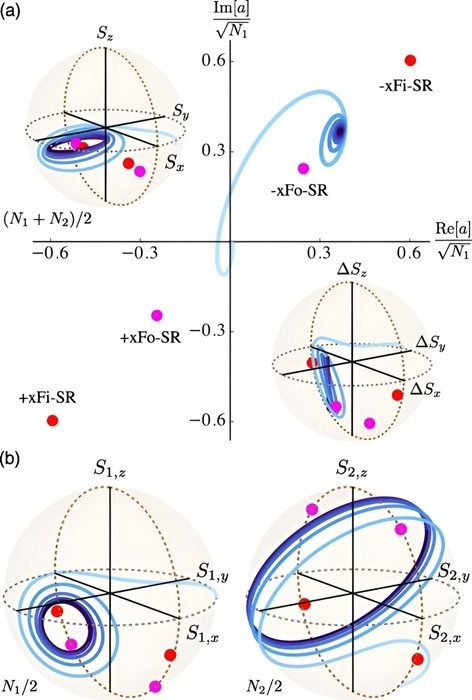 Exploring the Synchronized Light Emission of Atomic Ensembles