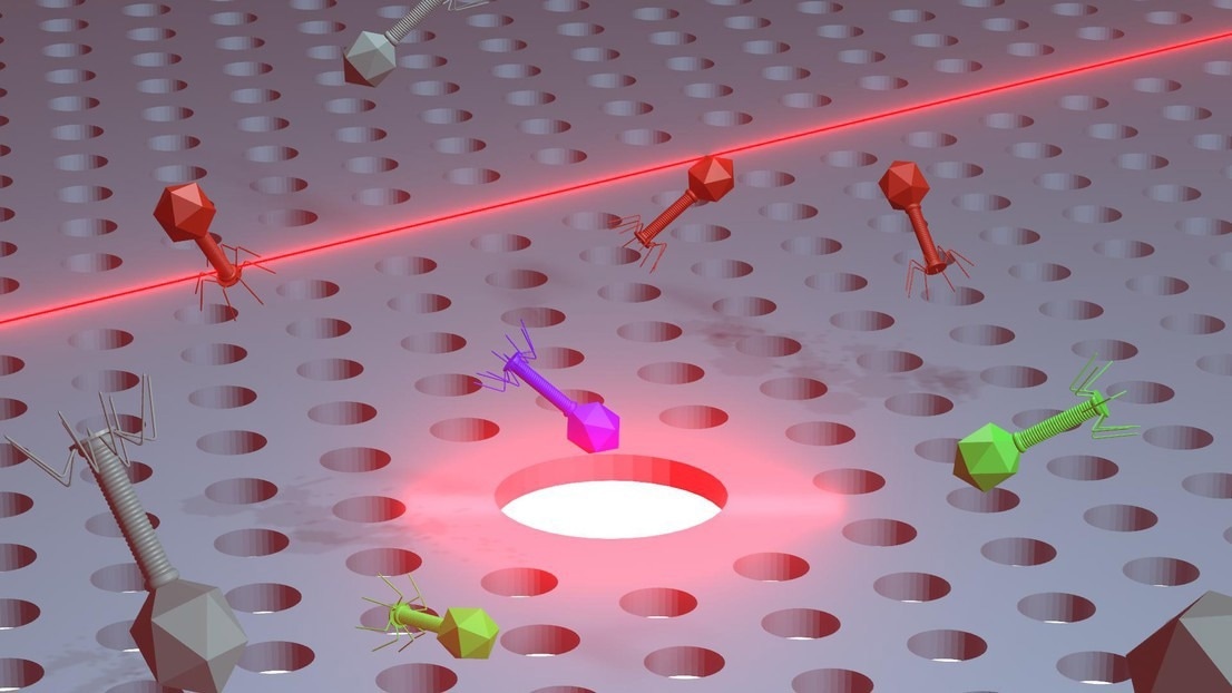 Transforming the Landscape of Antibiotic Resistance Through Nanotweezers