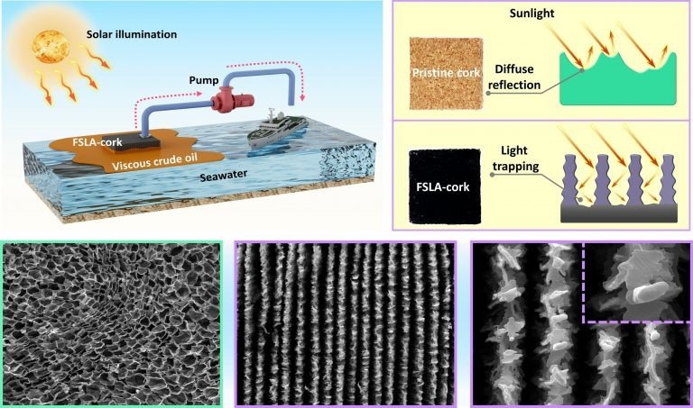 Scientists Turn Ordinary Cork into Oil Spill Absorbent with Lasers