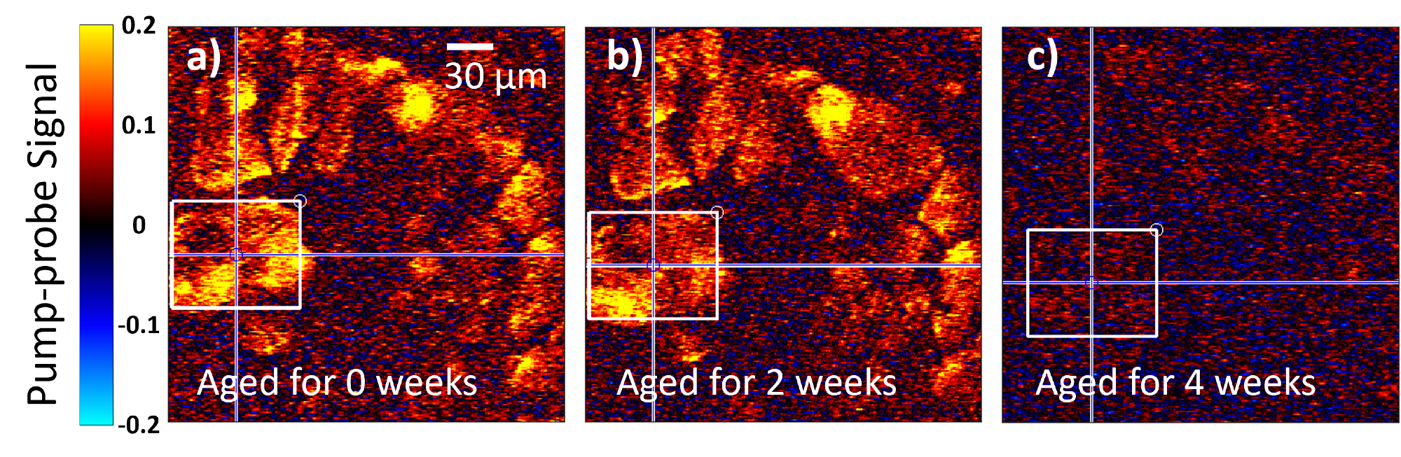 Laser Technique Spots Early Signs of Fading in Artworks