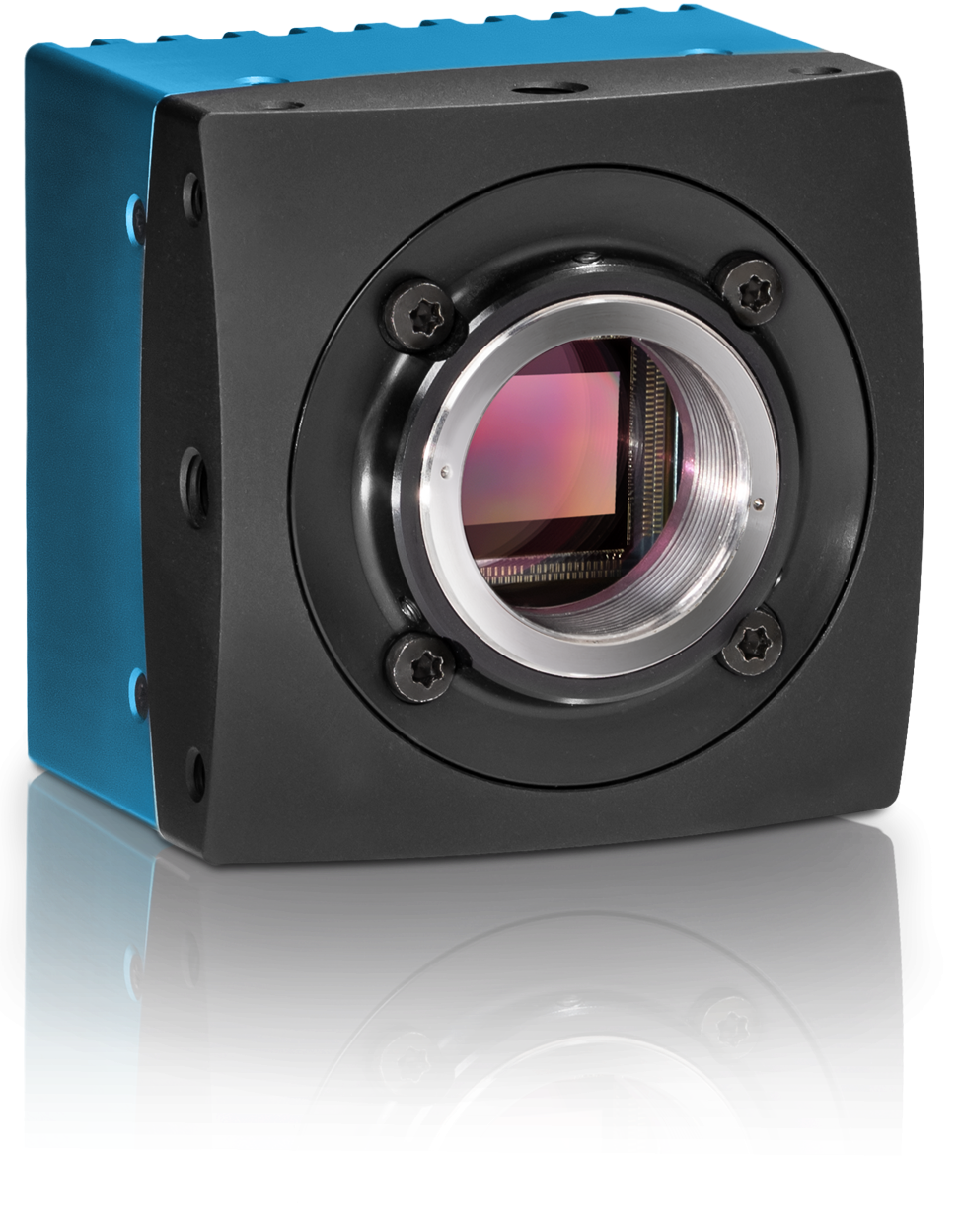 How to Select the Ideal Camera for High-Speed Biomechanics and Motion Analysis
