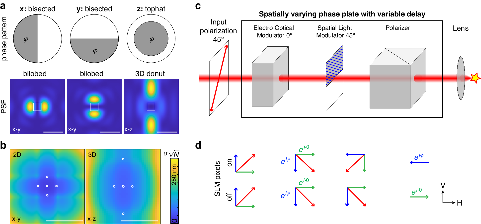 researchers published an article about a newly devised microscope that produces a patterned light beam for MINFLUX. This device is comparatively simple in structure and inexpensive to the traditional ones. Also, this microscope finds application widely in molecular biological research.