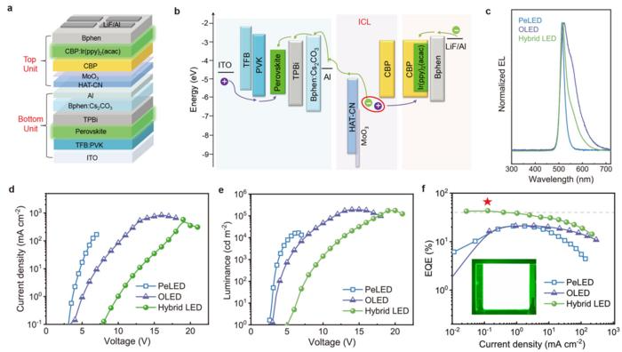 Effective and Robust Perovskite-Organic Light-Emitting Diodes