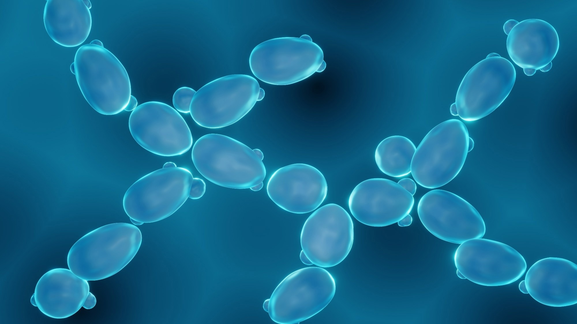 Understanding Yeast Membrane Microdomains with Cryo-EM