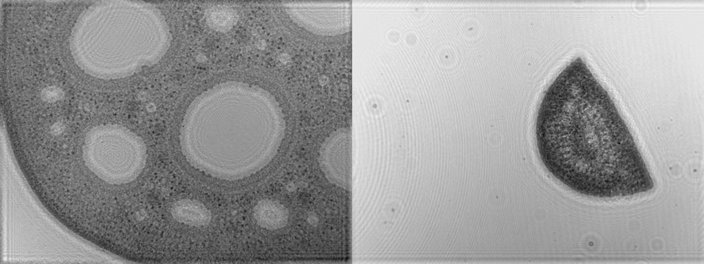 Smartphone-Powered Digital Holographic Microscope Enables 3D Measurements