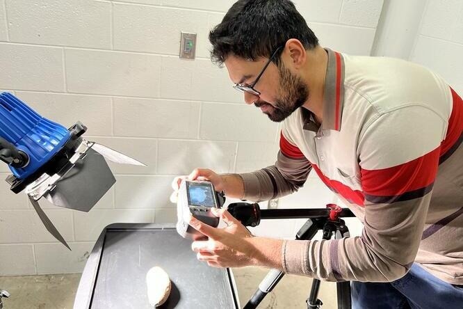 AI-Powered Hyperspectral Imaging for Accurate Food Quality Assessment