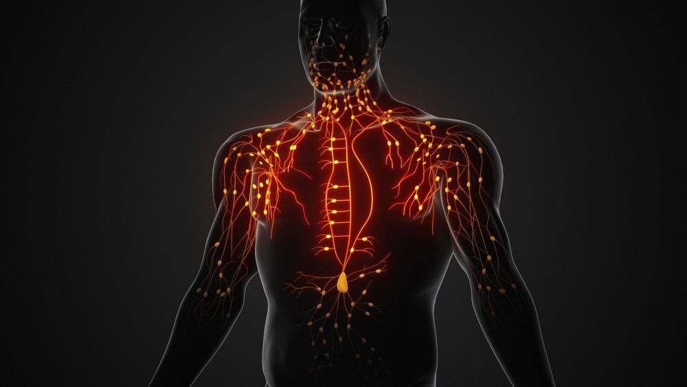 New Imaging Technique Offers Clearer, More Detailed Lymphatic Vessel Images