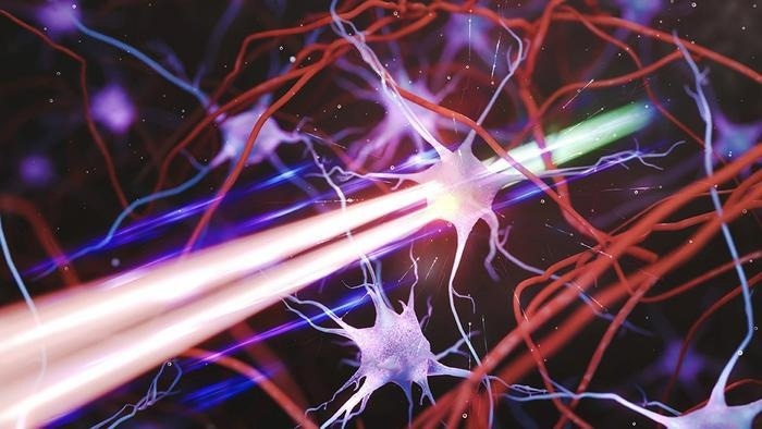 Illustration of multi-focus scanning with DEEPscope, imaging a neuron deep within the brain.
