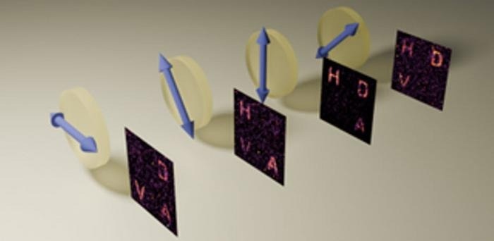 Polarization and holographic information become entangled in a quantum hologram. Holographic letters demonstrate entanglement through the polarization of paired photons. By selecting different polarizer orientations for one photon, specific letters in the hologram could be selectively erased, demonstrating precise control over the entangled holographic information