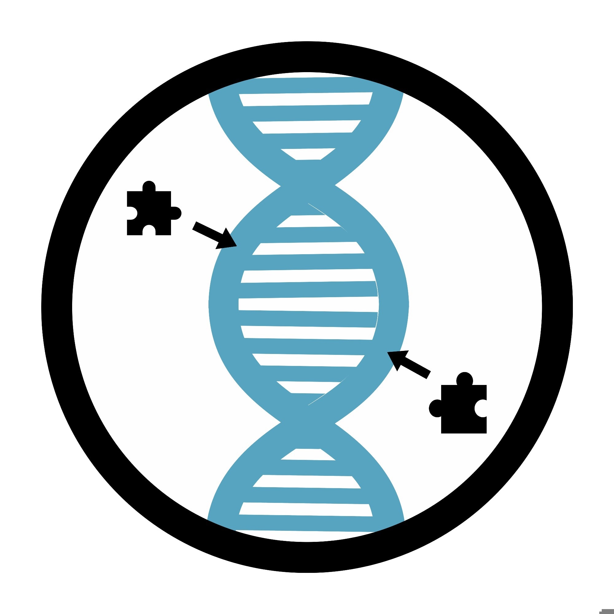 Illustration of a DNA double helix inside a circle with missing puzzle pieces and arrows, symbolizing changes or modifications in the DNA structure.