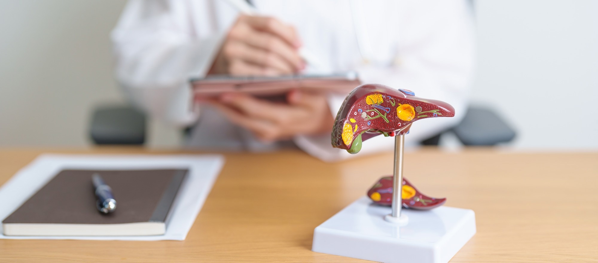 Doctor with human Liver anatomy model