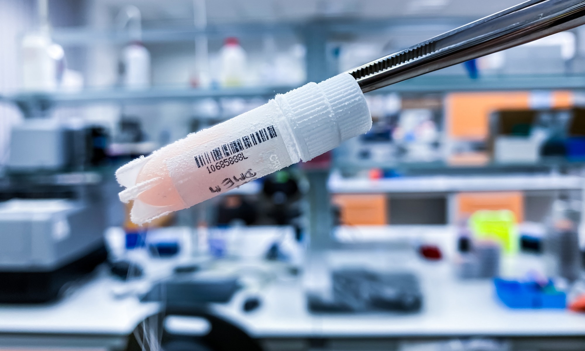 A cyrovial frozen sample held in focus with tweezers.