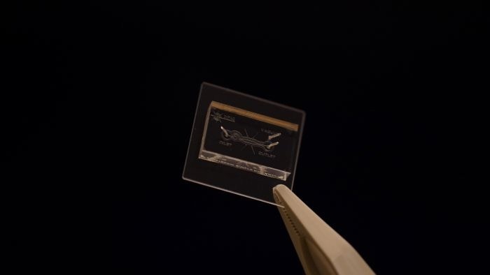 Twisted Light Breakthrough Could Enable Earlier Disease Detection