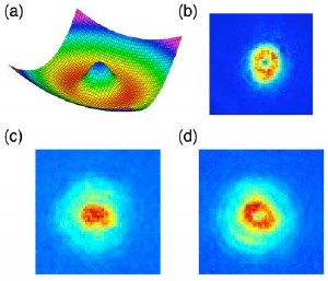 Researchers Demonstrate First Persistent Current in Ultracold Atomic Gas