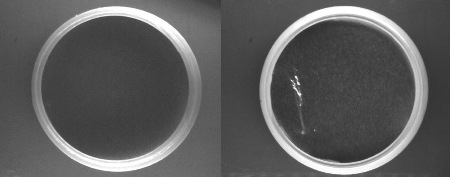 Olmec Develops Multi-Camera, Multi-Illumination Inspection System to Check Foil Seal Integrity