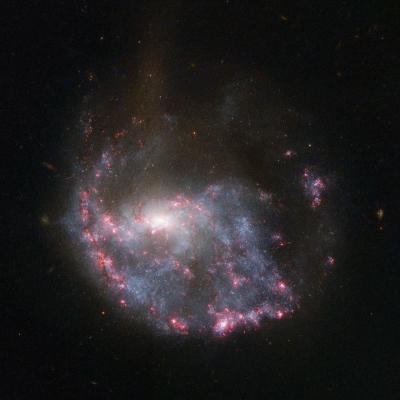 Hubble’s Image Provides New Insights into Galaxy NGC 922