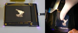 Glass-Free, Organic Transistors-Based Unbreakable Liquid Crystal Displays