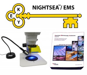 Dr. Robert Mitchell Receives NIGHTSEA’s First Annual KEY Award for New Faculty