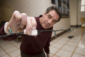 With Holiday Season Approaching, Cornell Environmental Analyst Made an Illuminating Discovery