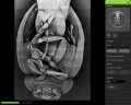 New Phenom Pro Suite Automates Image Collection and Analysis for Desktop SEM