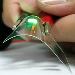 World Market Analysis on LEDs and OLEDs