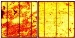 LIMO Diode Lasers Offer Faster Solar Cell Inspection