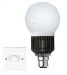 Neo-Neon to Exhibit LED Lighting Products at 2010 Light Middle East Show