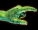 Researchers to Develop Fiber Optic Link Between Brain and Prosthetic Limbs