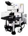 Olympus Adds Laser Sharing Capabilities to Fluoview FV1000MPE and FV1000 Microscopes