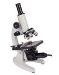 Comprehensive Report on Microscopy Markets