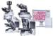 Olympus Releases New BX3 Range of Clinical Microscopes