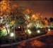 Mukherji Associates Reduces Energy Consumption with LED Uplights