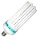 Comprehensive Business Report on Global Lamp Market