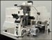 Nikon Unveils N-SIM Microscopes for Studying Nanoscopic Events in Living Cells