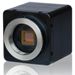 Raptor Photonics Rolls Out Digital Hawk EMCCD Cameras
