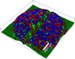 WITec Unveils True Surface Microscopy for Confocal Raman Imaging Applications