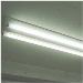 LED and Fluorescent Lighting Technologies Will Play a Key Role in the US Market
