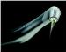 Dental Laser Market to Reach $162 Million in 2016