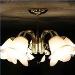 Market Report on S Residential Electric Lighting Fixture Manufacturing Industry