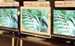Sharp Demonstrates 3D Quattron LCD TV in Qatar