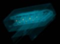 NIST Researchers Look to Use Medical Imaging to Quantitatively Validate the Efficacy of Cancer Treatments