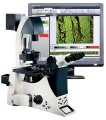 Leica and Molecular Devices Launch Multi-Dimensional Live Cell Imaging Package
