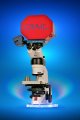 New Tool Provides High Resolution Optical and Raman Imaging to Analyze Trace Evidence